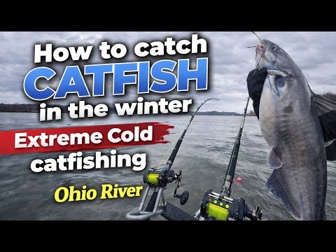 These FISH were COVERED in MUD (How to catch catfish in the winter)