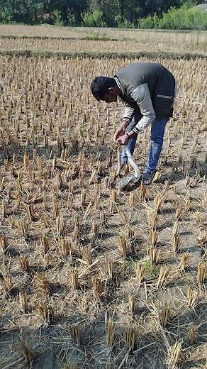 asaraswoti on TikTok