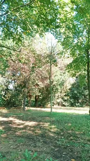 PEPPE_MASERATI su TikTok