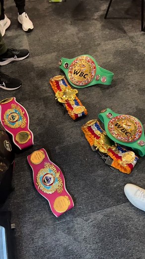 Katie Taylor's Amazing Belt Collection Revealed!