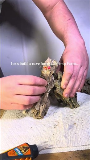 Let’s build a cave for my Shrimp Farm… #shrimptank #shrimpkeeping #diyprojects #aquascape #fypシ #fyp