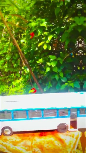 kohomada meka 😍😍😍😍😍 😍 subscribe karagena yanna 🙂