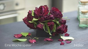 Spontan wegfahren? Kein Problem dank der #Haier Humidity Zone! Diese eignet sich mit mehr als 90% Luftfeuchtigkeit optimal für die Lagerung von Obst und Gemüse. Die Dry Zone wiederum hält die Feuchtigkeitsrate bei weniger als 45 Prozent und ist somit bestens für die Lagerung von Fleisch und Fisch geeignet. | Haier