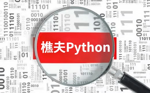 【2022樵夫Python全套】樵夫老师主讲的Python基础全套教程，无废话，纯干货！这才是B站最适合小白的基础课