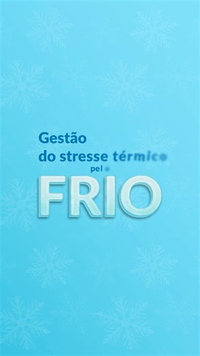 O que deve ter em conta o empregador, gestão do stress térmico pelo frio? No ACT Informa de hoje explicamos-lhe tudo! | Autoridade para as Condições do Trabalho
