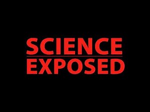 The Impact of AI Girlfriends: A New Chapter in Human-AI Relationships