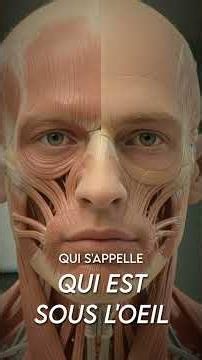 MENSONGE, MANIPULATION ET SÉDUCTION : LES CLÉS DU LANGAGE CORPOREL