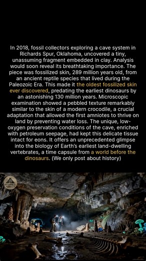 160K views · 2.2K reactions | A 289-million-year-old fragment of reptile skin is the oldest ever found, predating dinosaurs. #history #ancient #archaeology #discovery | Historical Marvels | Facebook