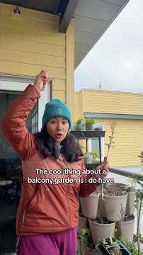 Cleaning out the balcony garden for spring planting🌱 #gardeningtips #gardening #balconygarden
