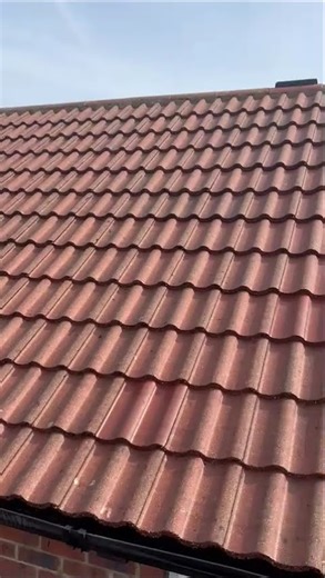 You Won’t Believe This Garden View 😍 | Full Exterior Clean Weybridge