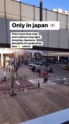 210K views · 1.8K reactions | Only in japan  This is how they stop even without stop light. Amazing Japanese discipline for pedestrian lane﫡　salute! #japan #onlyinjapan #japanesediscipline | Jennifer Muramatsu | Facebook