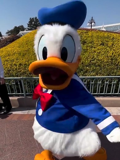 Funny Donald Duck Shaking Tail Feather Moment