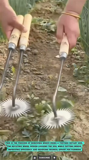 Weeding Tool: Efficient Soil Cultivation Technique #innovationtools