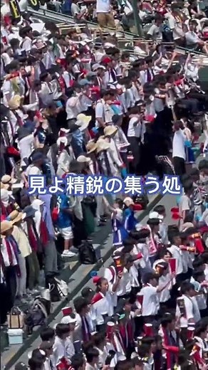 【歌詞付き】慶應義塾「若き血」アルプス応援団