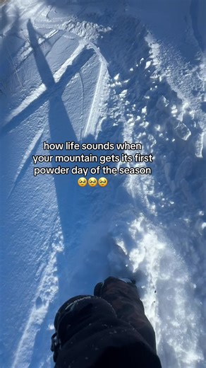 the cuts bc it stopped recording idk why☹️ #snow #powder #snowboard #surfing