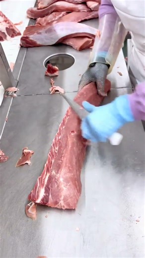 Pork Tenderloin Trimming｜Whole Pork Loin Precision Trim