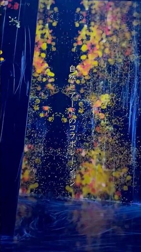 【チームラボ京都】圧巻の最先端体験アート！50以上ものアート作品で没入型アートを体験する！ | KYOTO | teamLab |