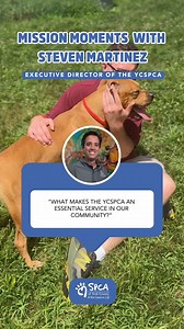 2.9K views · 29 reactions | At the York County SPCA, our Spay &...