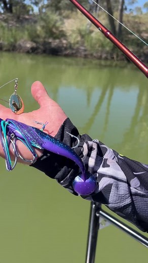 Exploring the New Bassman Spinner Baits for Murray Cod