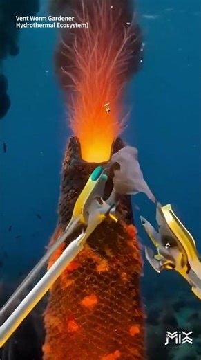 Robotics #15 | Vent Worm Gardener (Hydrothermal Ecosystem) | Deep Sea & High Pressure