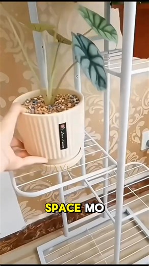 146K views · 803 reactions | Multi Layer Plant Stand 퐃퐢퐭퐨 퐦퐚퐛퐢퐛퐢퐥퐢  푳풂풛풂풅풂 - https://ecosale.info/kxQiAAiz 푺풉풐풑풆풆 - https://s.shopee.ph/9UsrqH6Cc6 | Redd Smart Shop | Facebook