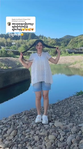 Japan Dogs: The Adorable Pet Phenomenon