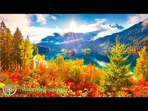 Good Morning Music 528Hz - Morning Music With Free Positive Energy - Morning Meditation Music