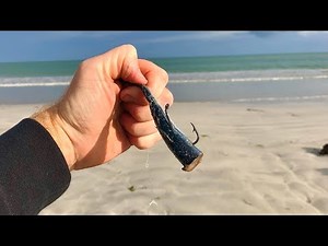 This Bait Will Always Catch Fish !?! Chasing a BIG Snapper Landbased EP 3