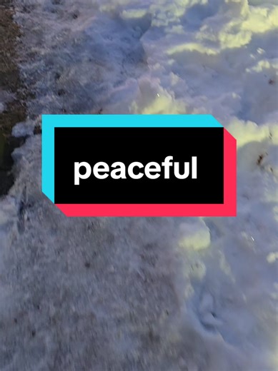 Chilly Morning Serenity with Ducks in Cape Cod