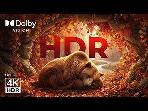 4K HDR Fall Colors | Dolby Vision OLED Fall Color Spectrum 5.1 Music