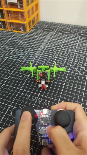RC Butterfly Flying Experience: I Believe I Can Fly