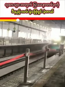 56K views · 236 reactions | ငှက်ကလေးကိုကြည့်ပြီး ဂျပန်ရထား ပြဿနာကို ဖြေရှင်းခဲ့တဲ့ ဂျပန်လူမျိုး Japanese People Find A Way To Solve Japane Train Problem #japan #japanese #problem #reaction #reactionvideo | Real Diaries - Viral Videos And Daily News | Facebook