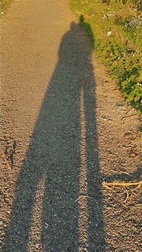 Shadow ban java my wife my shadow #punjabireels #lovesong #viral