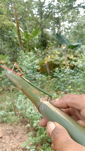 Guessing the plate with a bamboo slingshot
