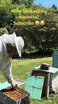 Why I’m Leaving This Hive Alone (For Now) | Beekeeping