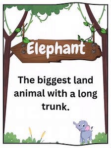 Jungle Animals Coloring Book | 40 Printable Pages for Kids | Fun Safari & Zoo Coloring Sheets | 40 Fun Coloring Pages   Definition - Etsy