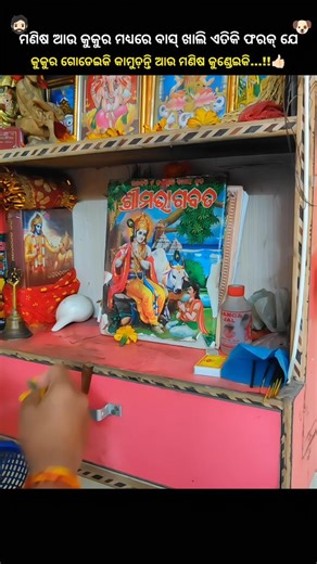 𝐀𝐦𝐢𝐭 ✈️ | 𝐀𝐧𝐠𝐮𝐥📍 | ମଣିଷ କୁଣ୍ଡେଇକି କାମୁଡନ୍ତି 👍🏻🥲 ( corporatelifestyle, corporatelife, corporate, winter, workout, skin care, pista badam, fitness, indian... | Instagram