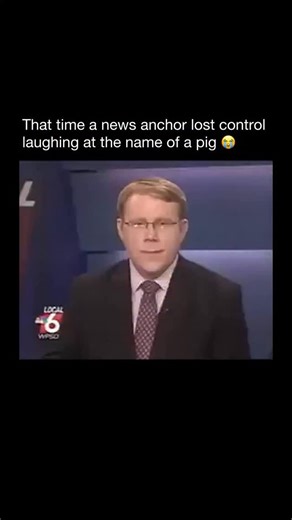 Purely History | Chris P. Bacon is an adorable piglet who was born unable to use his hind legs. Thanks to a caring veterinarian who built him a small... | Instagram