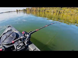 These Two Baits Catch HUGE Catfish