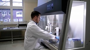 Two-dimensional Porcine Intestinal Organoids Reflecting the Physiological Properties of Native Gut