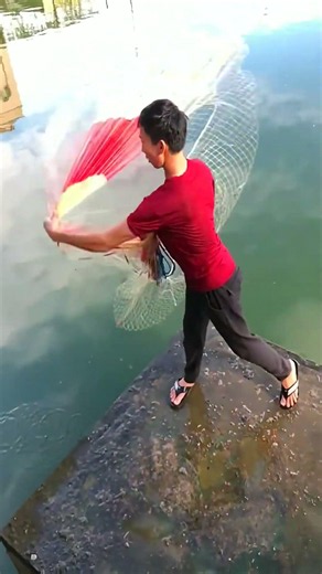how to catch fish with a net #fishing #net #handfish