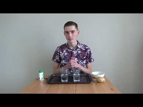 Floating Potato Density Experiment