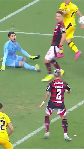 CONMEBOL Libertadores on Instagram: "勞理 ¡Una atajada CLAVE de Agustín Rossi en el minuto 95! @Flamengo #Libertadores #GloriaEterna"