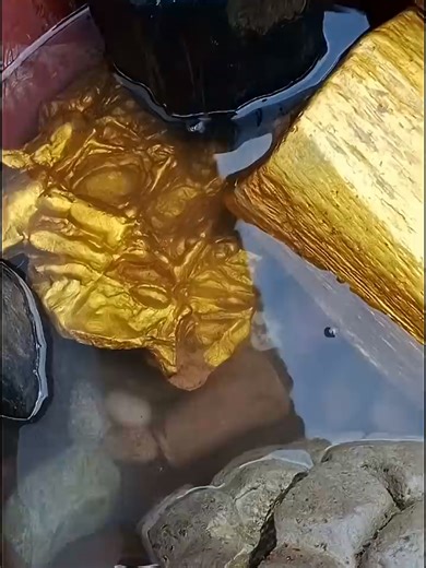 Exploring Petrified Wood and Nature Finds