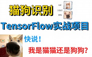 B站最通俗易懂的猫狗识别项目实战- 使用TensorFlow + CNN 实现猫狗二分类