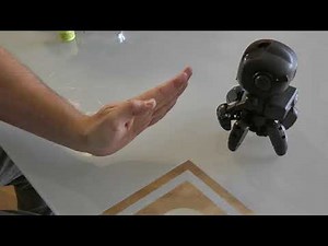 Bau des Roboters PROXI vom Kosmos Verlag Stuttgart