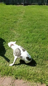 Look who's feeling good today! I love it when she's able to run. She still amazes us. 😊 | Everything Emma & Family