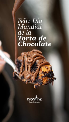Coccolino Pastelería • Brownie • Tortas • Barquillos • Galletas on Instagram: "“Bruce, Bruce, BRUUUCE…” 🍰🍫 Si tú también eres fanático del chocolate nivel Bruce, te tenemos una sorpresa 🤫🤎 Porque mañana martes 27 de enero es el Día del Bizcocho de Chocolate!!!! Y en Coccolino lo celebramos como corresponde… TODOS los trozos de nuestra torta húmeda de chocolate vienen ✨ con salsa de chocolate extra GRATIS ✨sí, un topping chocolatoso, sin pedirlo, sin pagar más 😱 Disponible desde mañana hasta