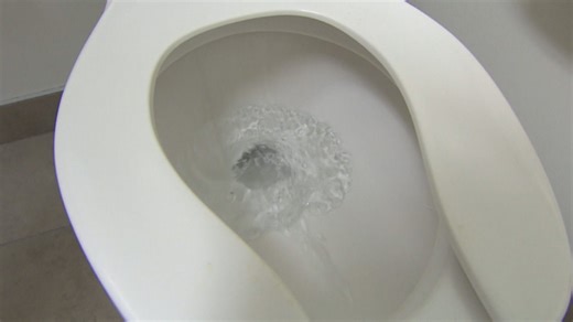 Generating power from poop