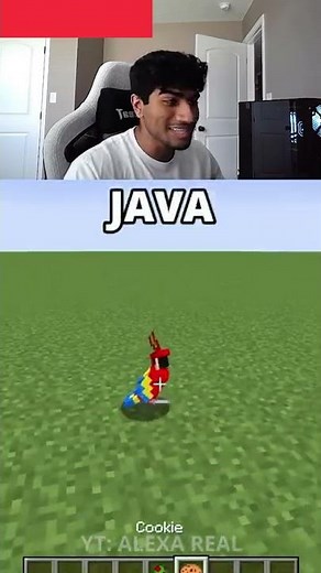 Crazy Java VS Bedrock Minecraft 📦